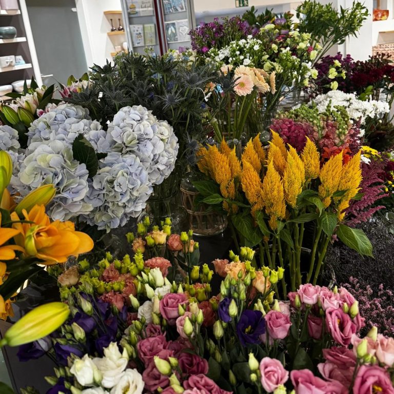 Frische Schnittblumen und saisonale Blumenauswahl bei Magnolia in Hamburg-Sülldorf